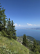 Hotel Royal Evian